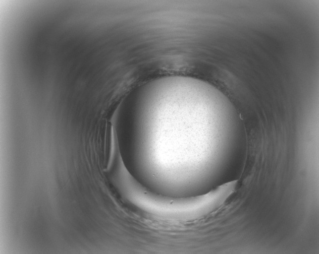 X0000054460040200508052002