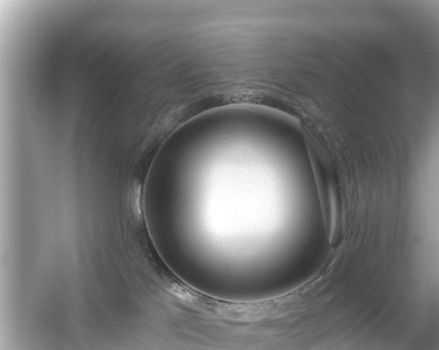 X0000054460041200508052002