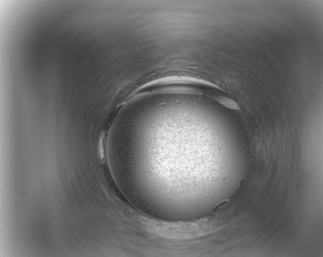 X0000054460042200508052002