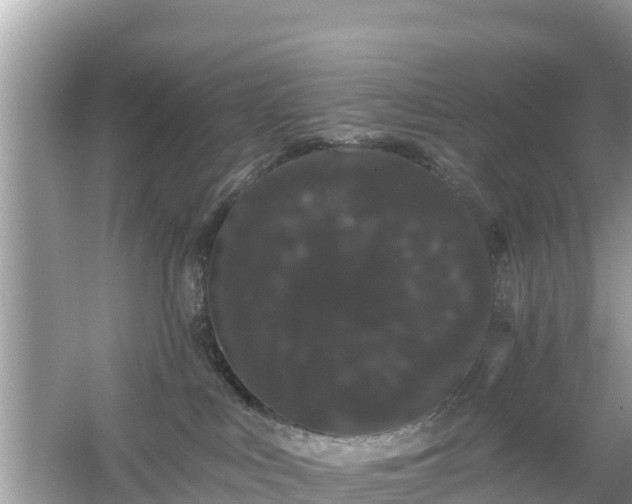 X0000054460043200508052002