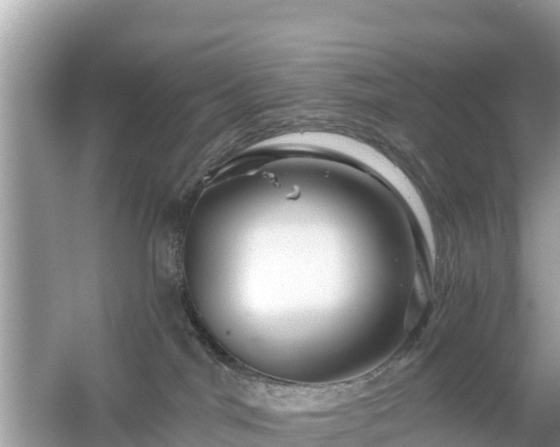 X0000054460044200508052002