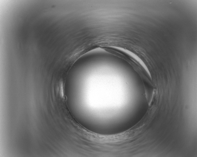 X0000054460046200508052002