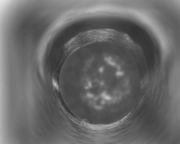 X0000054460047200508052002