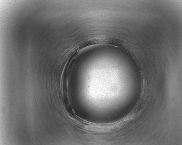 X0000054460048200508052002