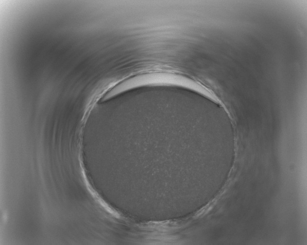 X0000054460049200508052001