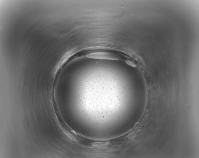 X0000054460051200508052001