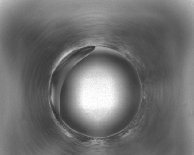 X0000054460052200508052001