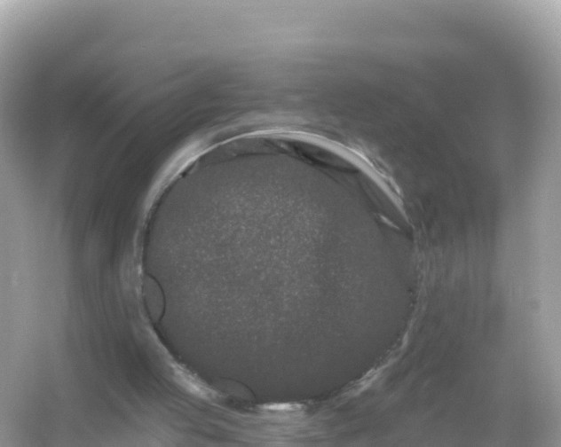 X0000054460053200508052001