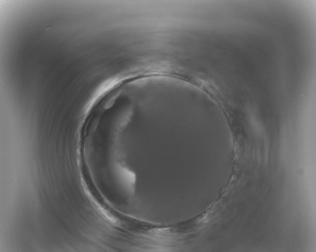 X0000054460054200508052001