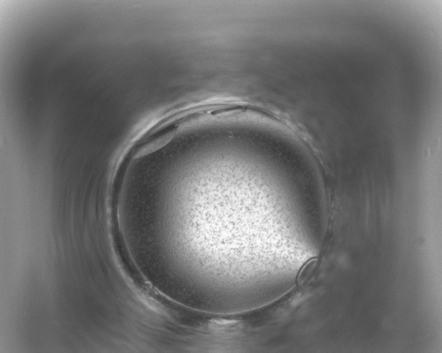 X0000054460055200508052001