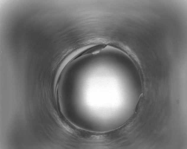 X0000054460057200508052001