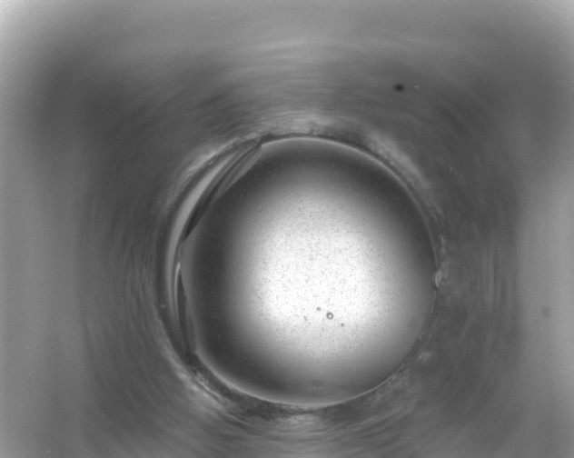 X0000054460058200508052001