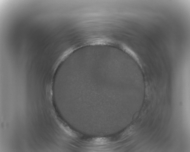 X0000054460059200508052001