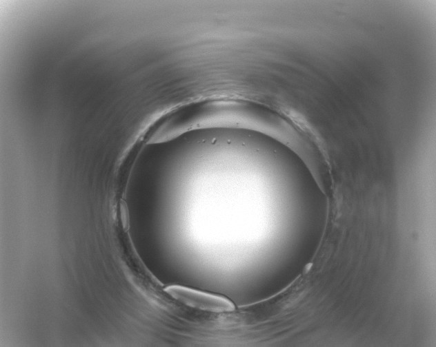 X0000054460060200508052001