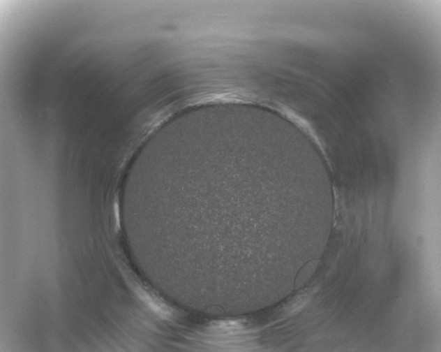 X0000054460061200508052001