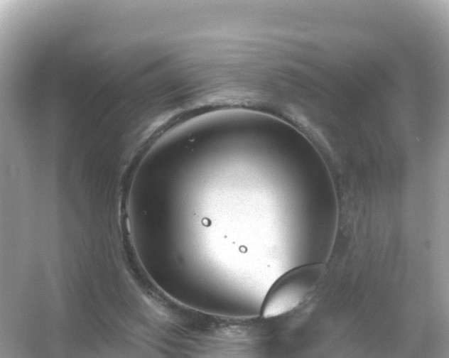 X0000054460062200508052001