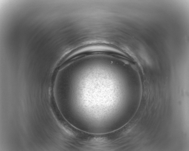 X0000054460063200508052001