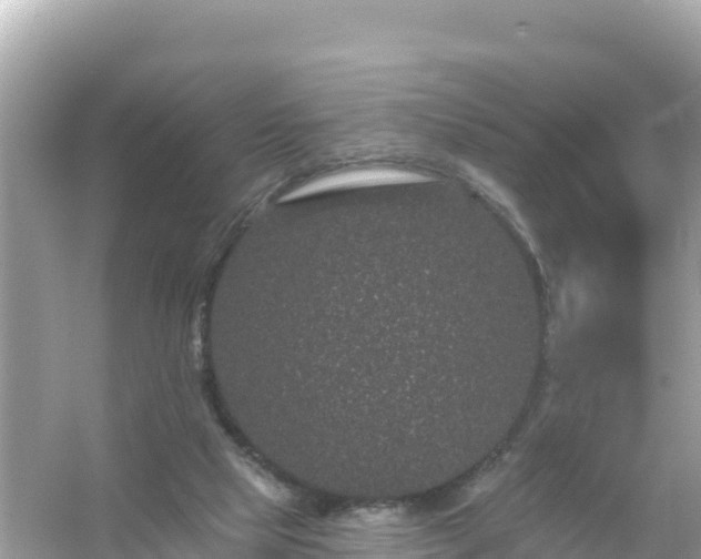 X0000054460065200508052001