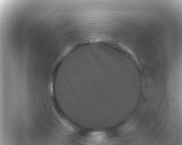 X0000054460067200508052001