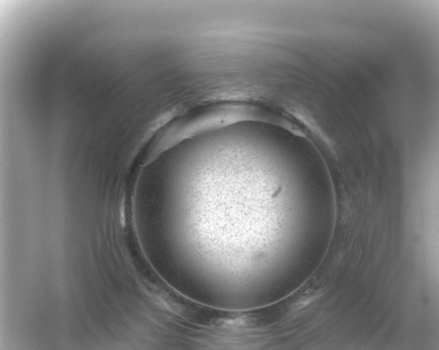 X0000054460068200508052001