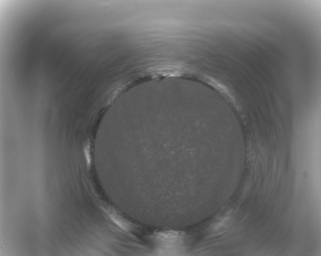 X0000054460069200508052001