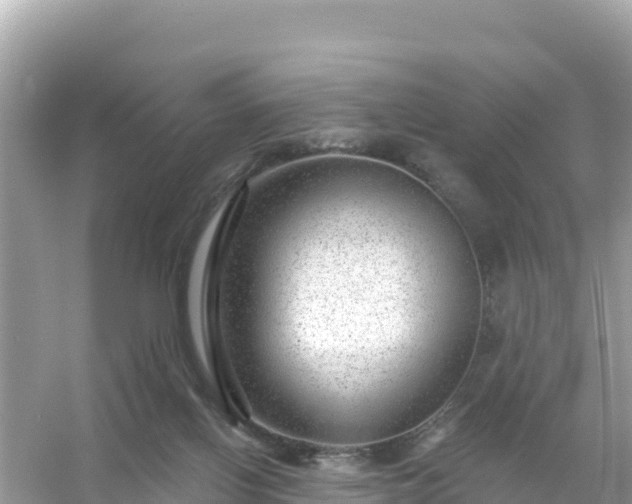 X0000054460070200508052002