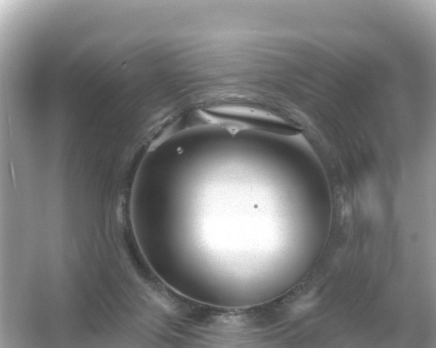 X0000054460071200508052002