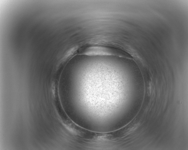 X0000054460072200508052002