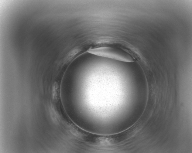 X0000054460073200508052002