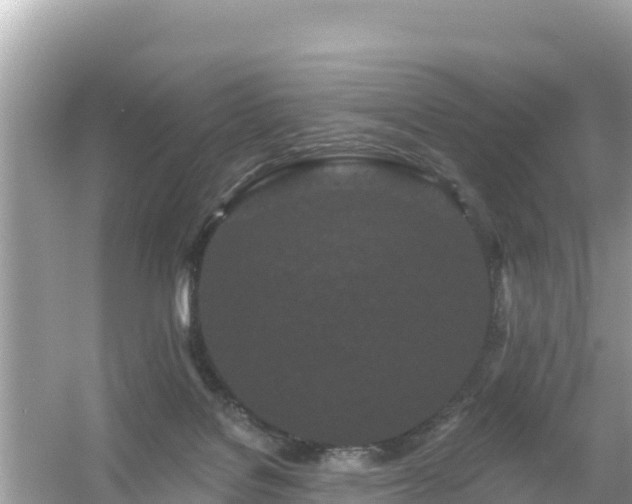 X0000054460076200508052002