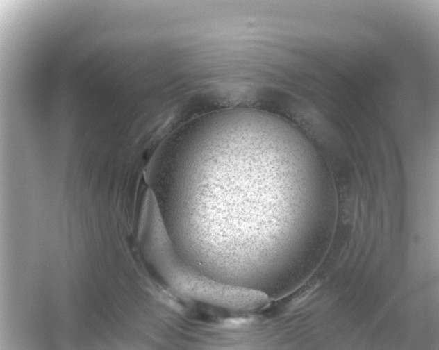 X0000054460077200508052002