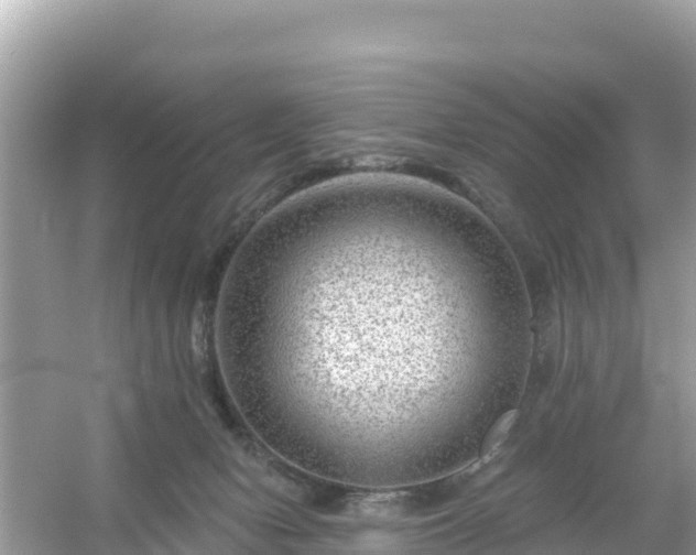 X0000054460078200508052002