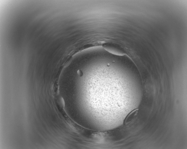 X0000054460079200508052002