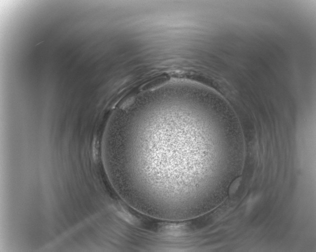 X0000054460081200508052002