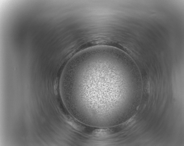 X0000054460082200508052002