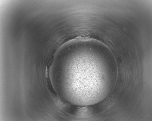 X0000054460083200508052002