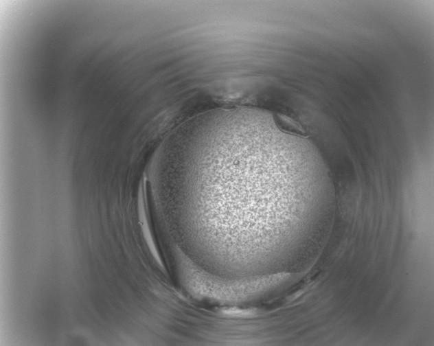 X0000054460085200508052002