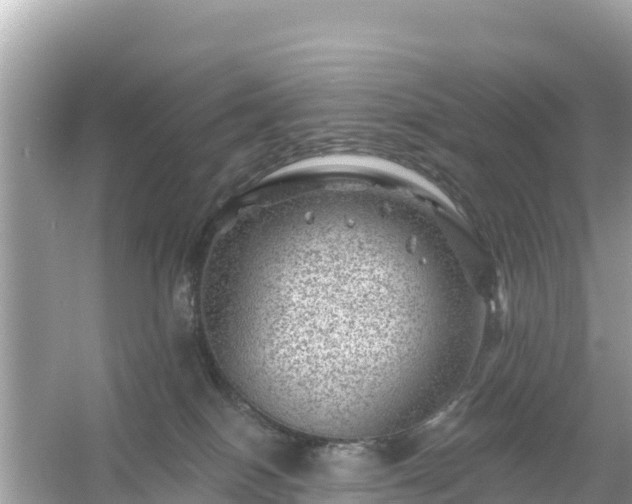 X0000054460086200508052002