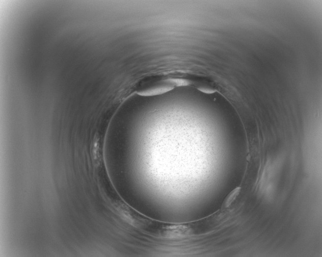 X0000054460087200508052002