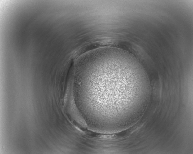 X0000054460089200508052002