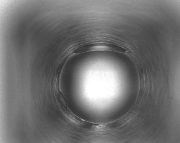 X0000054460092200508052002