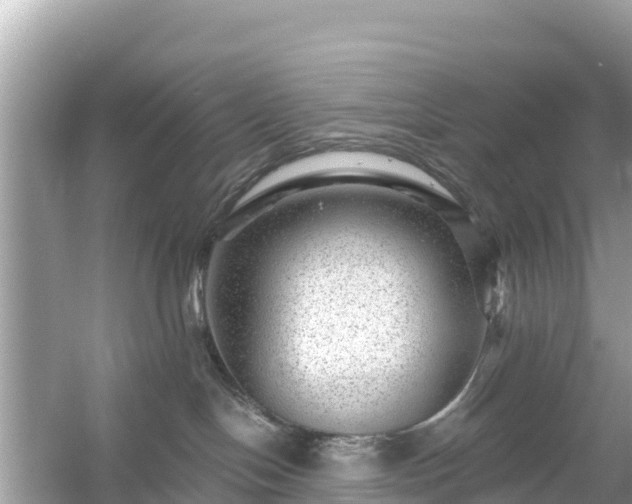 X0000054460094200508052002