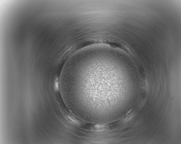 X0000054460095200508052002