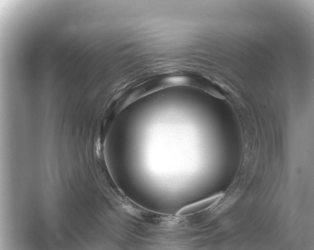 X0000054460096200508052002