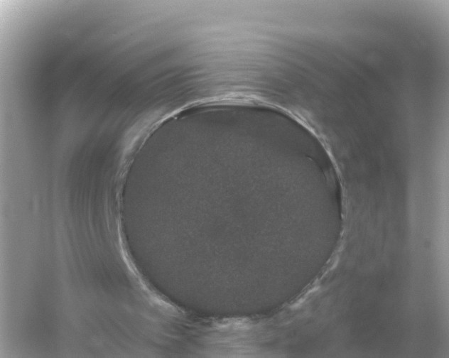 X0000054460097200508052001