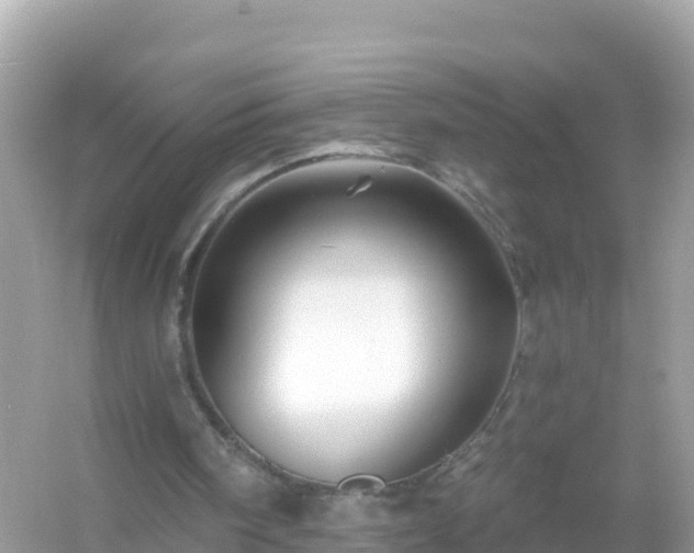 X0000054460098200508052001