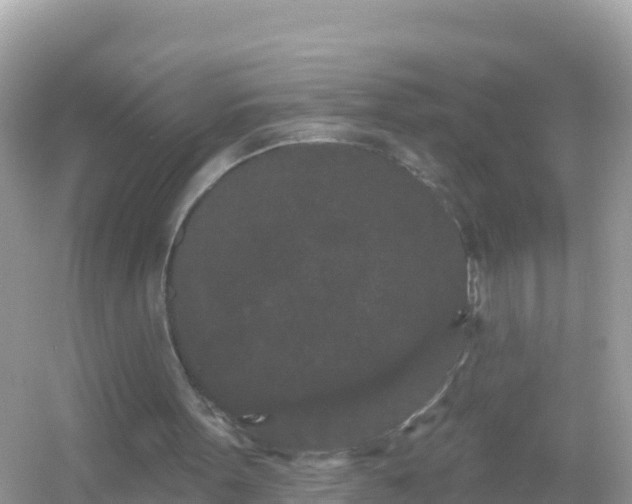 X0000054460099200508052001