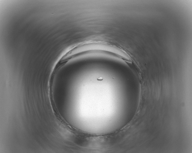 X0000054460100200508052001