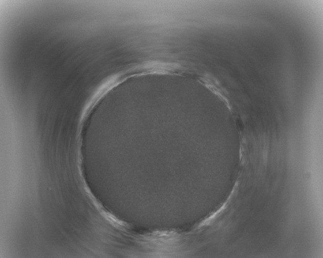 X0000054460101200508052001