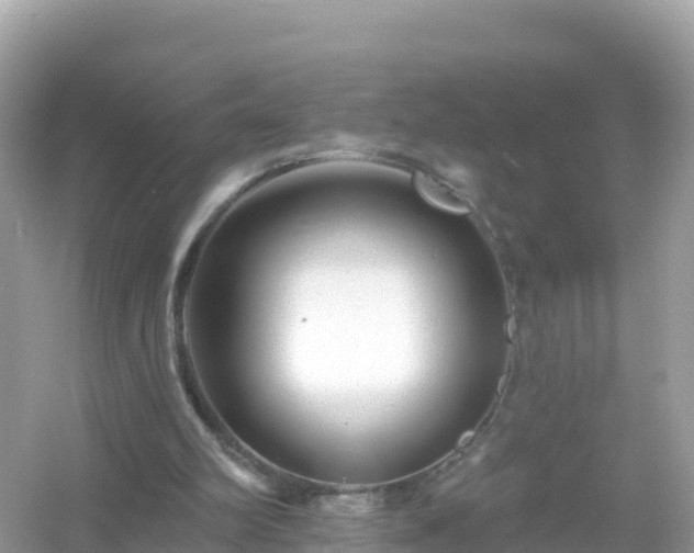 X0000054460102200508052001